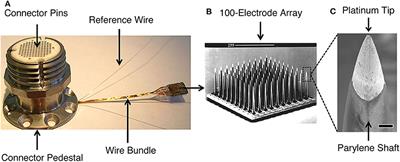 Classifying Intracortical Brain-Machine Interface Signal Disruptions Based on System Performance and Applicable Compensatory Strategies: A Review